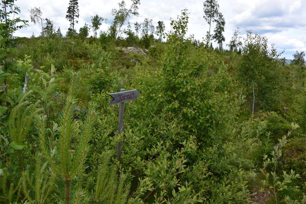 Mieps Huset Dalarna Holiday Kullen  Exterior foto
